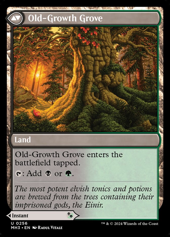 Old-Growth Grove
