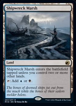 Shipwreck Marsh